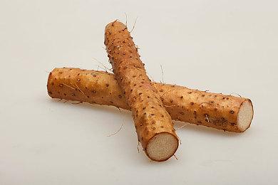 末日风解谜叙事游戏《艾莉丝的世界》定档 11月 25日Steam发售